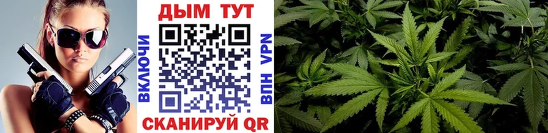 Канабис гибрид Николаевск-на-Амуре